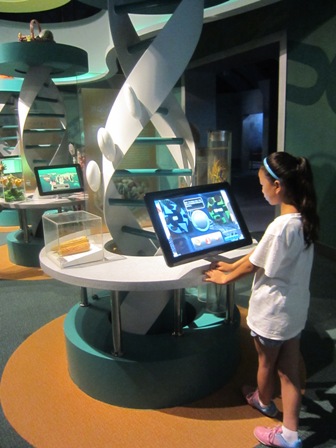 日韩精品无码一区二区