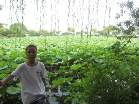 日韩精品无码一区二区