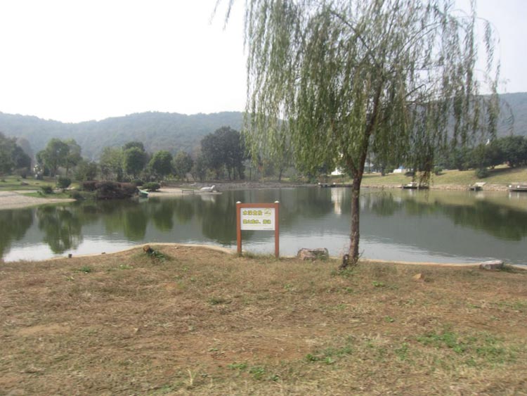 日韩精品无码一区二区