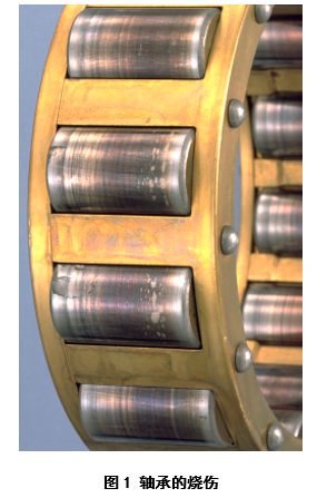 日韩精品无码一区二区