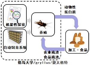 日韩精品无码一区二区